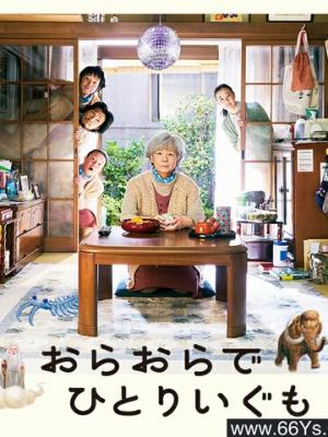 梦想绽放